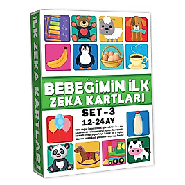 DIYTOY  EĞİTİCİ KARTLAR 12-24 AY ZEKA KARTLARI