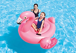 Intex Inflatable Flamingo Ride-On