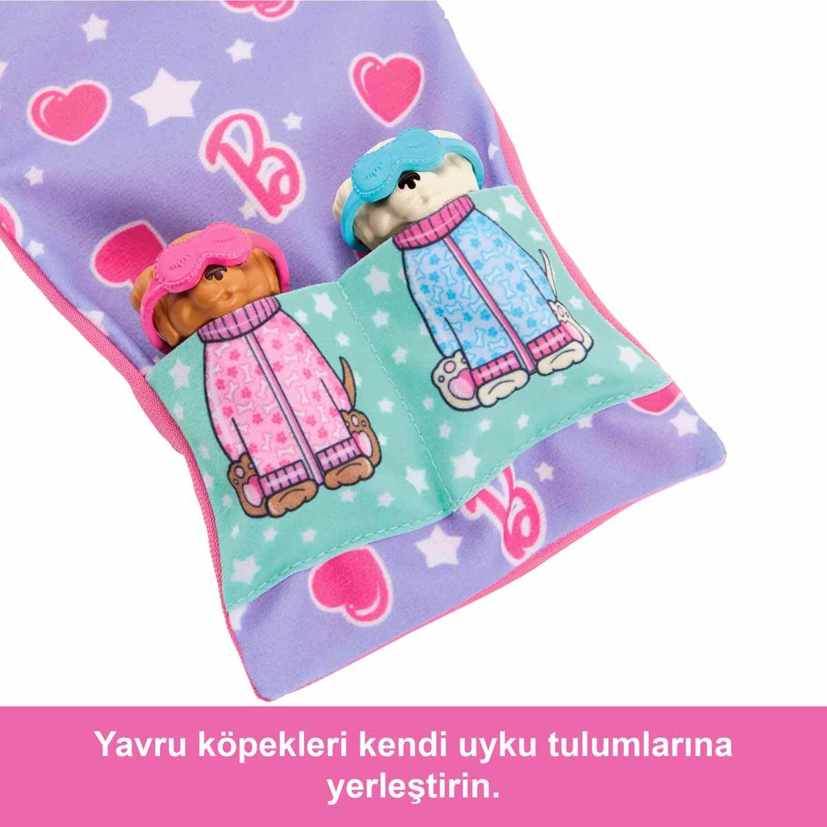 Barbie ve Köpekçikleri Pijama Partisi Oyun